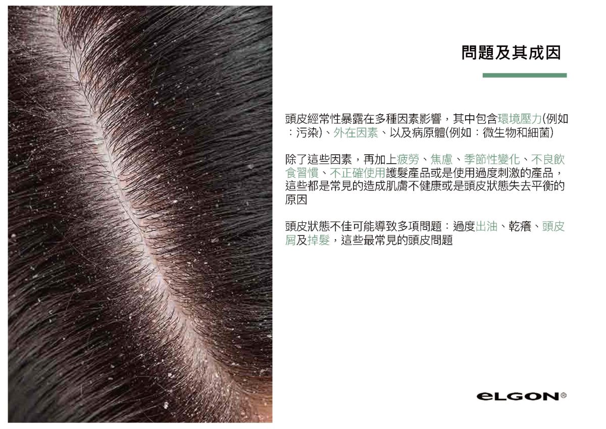 eLGON 蓓美娜 落葉松養髮洗髮精