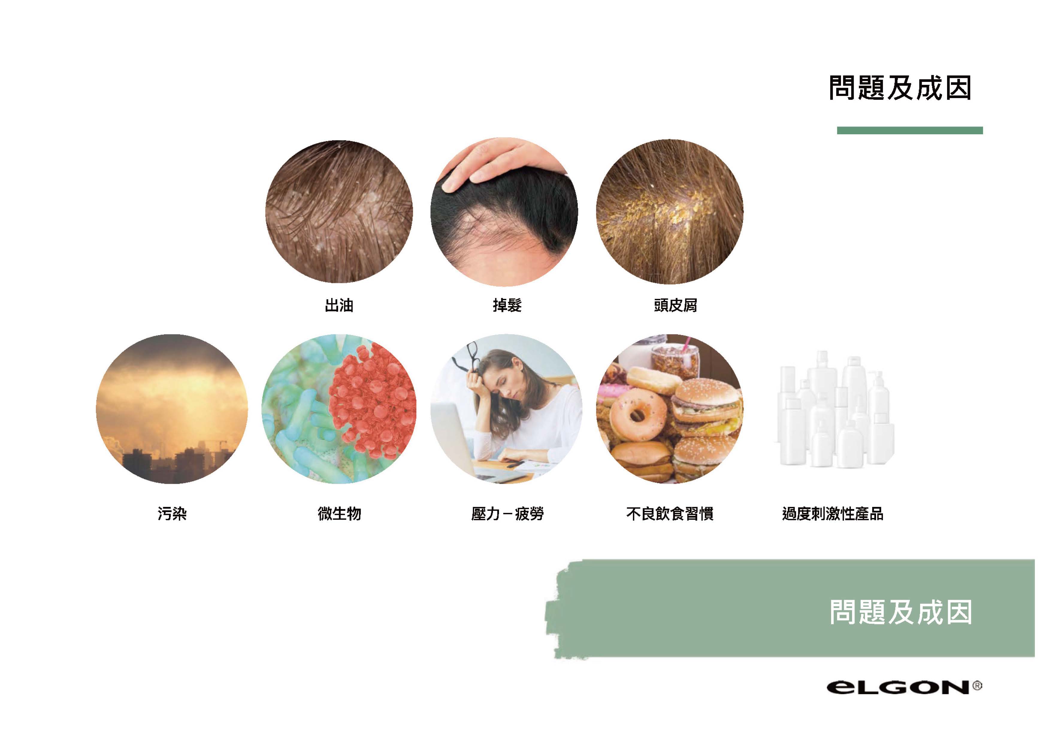 eLGON 蓓美娜 頭皮平衡精華液 100ML