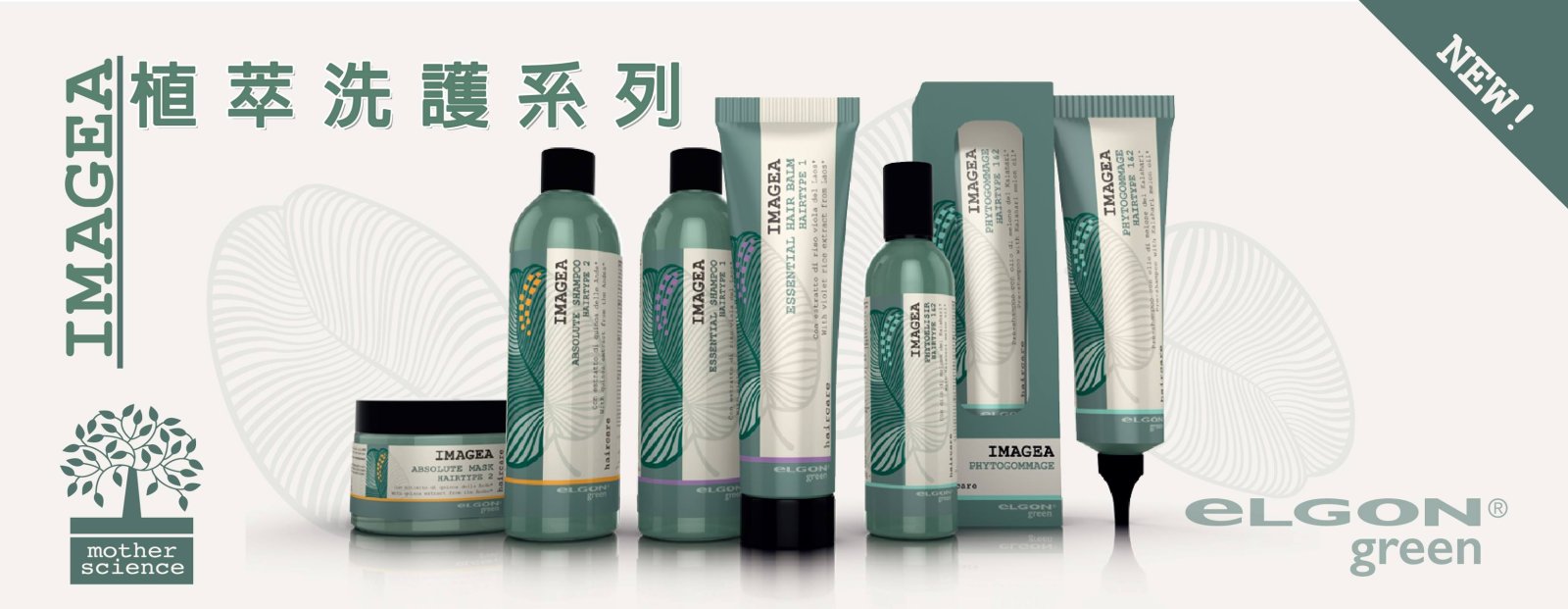 植萃系列-ELGON GREEN-PHYTOGOMMAGE草本去角質凝膠