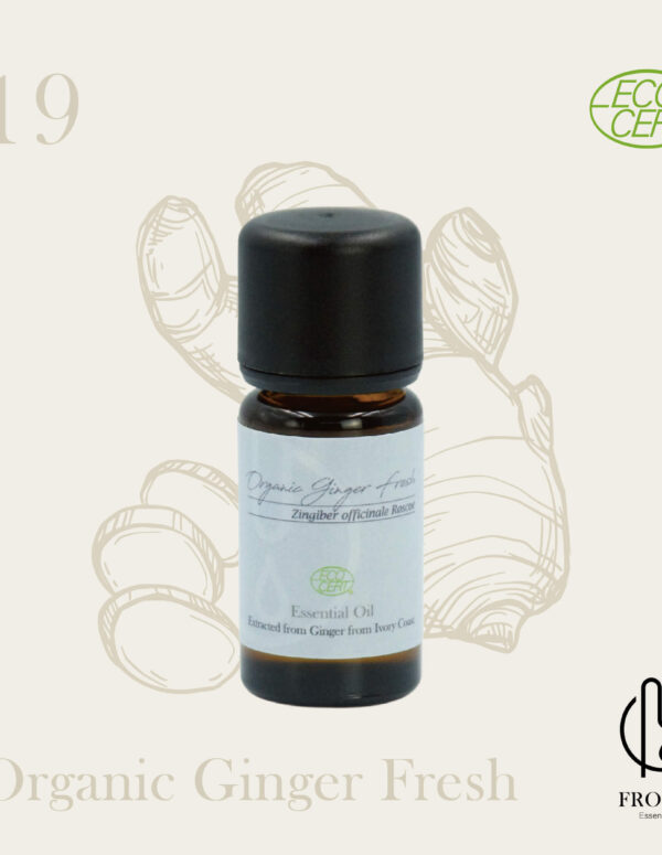 【FROURA】馥蕊 NO.19-有機生薑精油 10ml